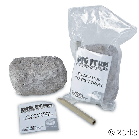 Dig it Up! Minerals and Fossils