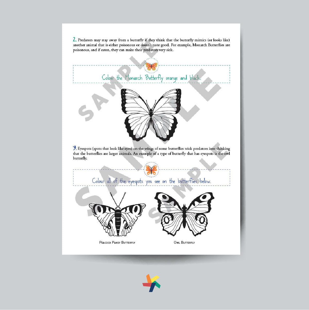The Evolution of Butterflies