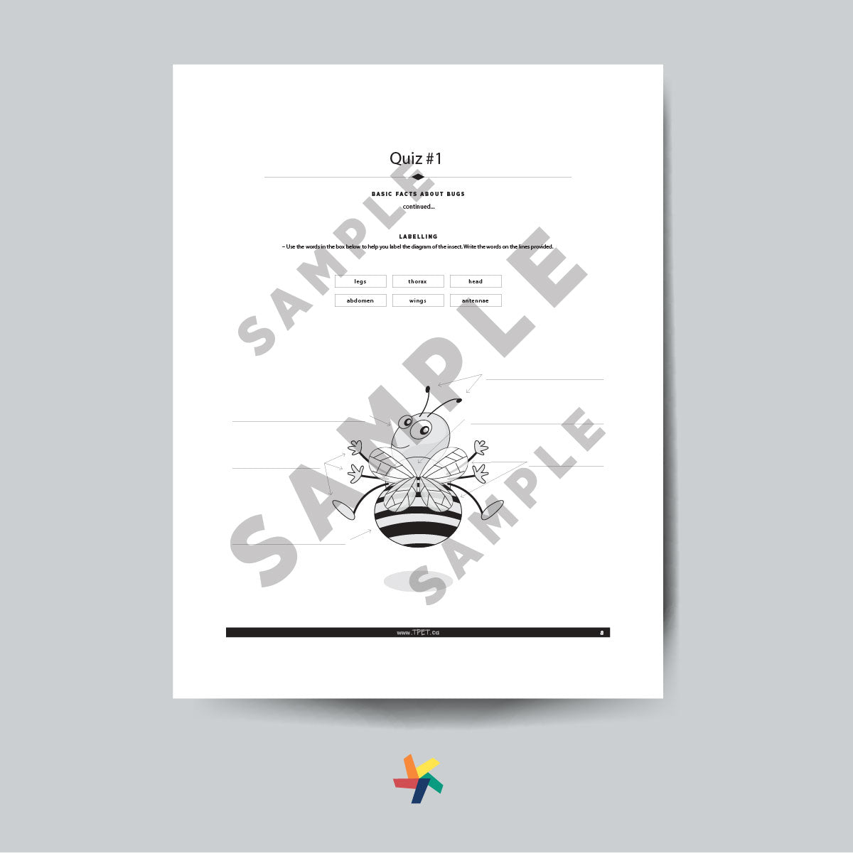 Bugs: Small Crawling and Flying Animals – Assessment Package