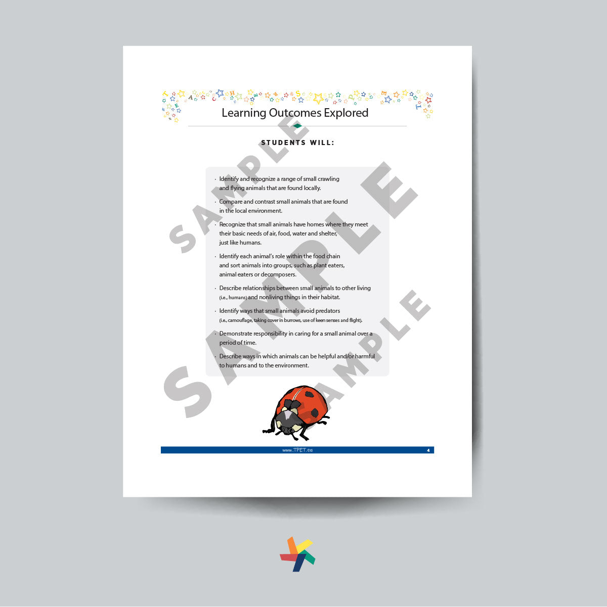 Bugs: Small Crawling & Flying Animals