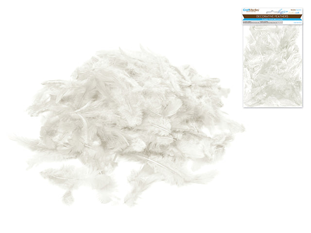 Small Feathers