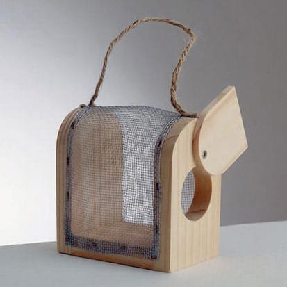 Insect Box