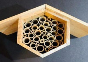 Wooden Bee House Kit