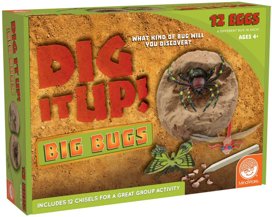 Dig It Up! Big Bugs