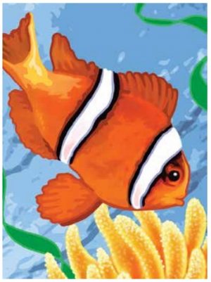 Paint By Numbers: Clown Fish
