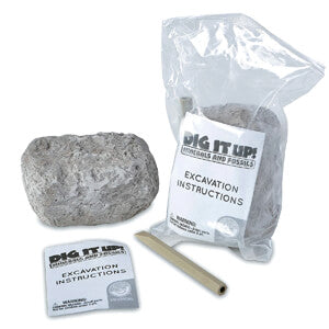 Individual Dig It Up Stones - Minerals and Fossils (1)