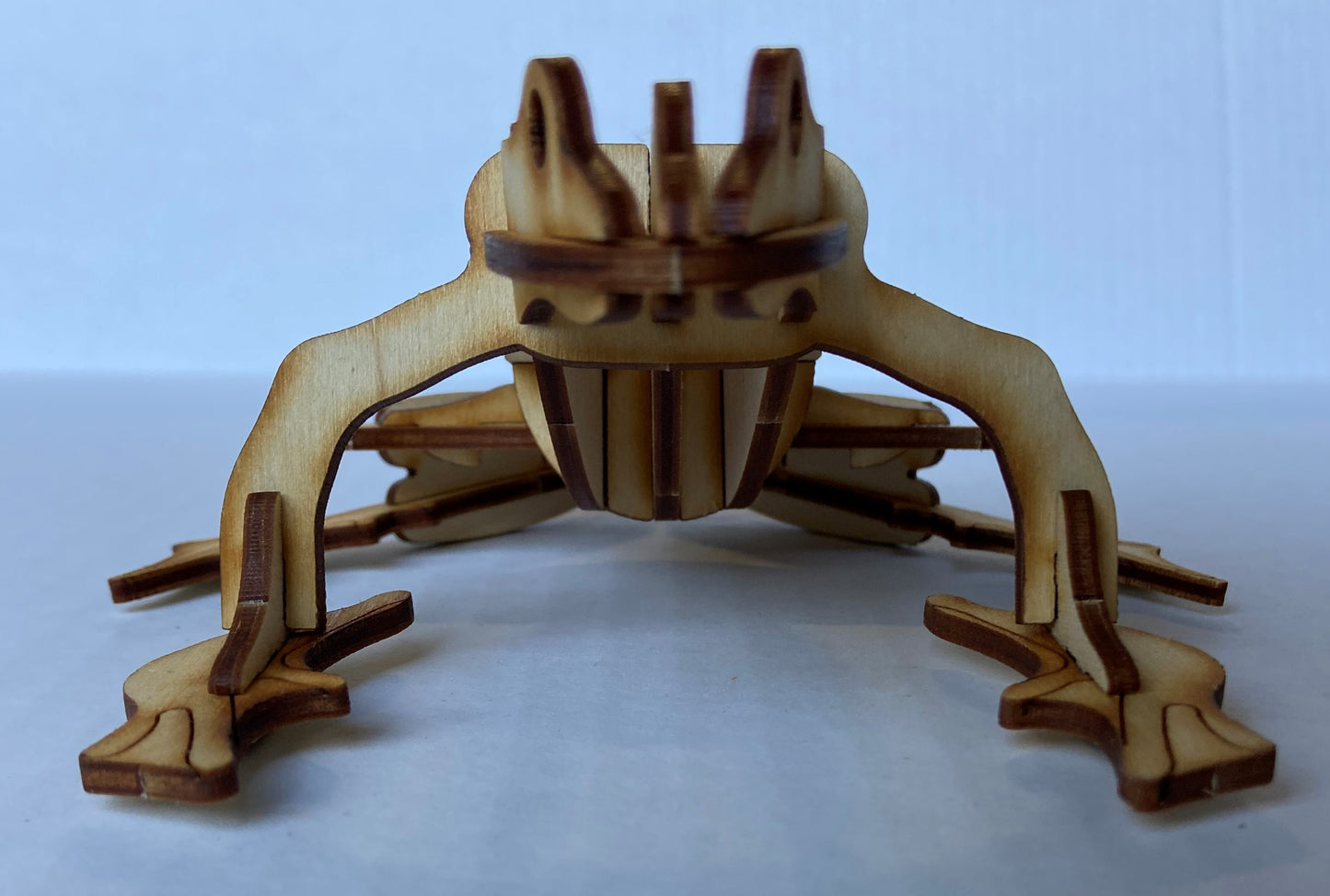 3D Frog DIY Wooden Puzzle