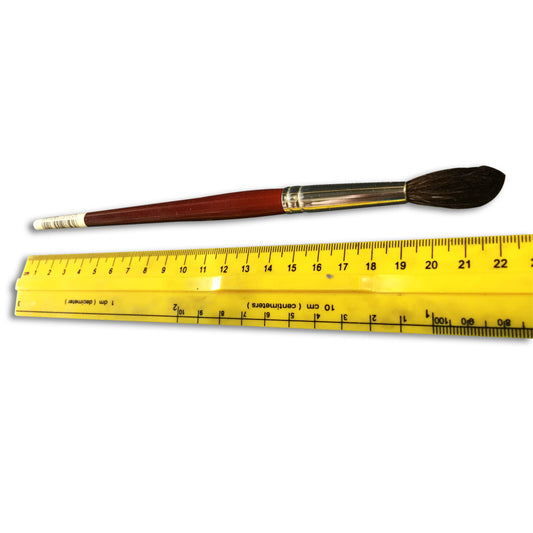 Paintbrush Round #12