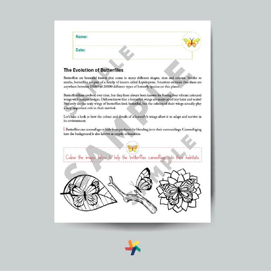 The Evolution of Butterflies