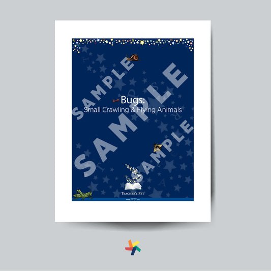 Bugs: Small Crawling & Flying Animals