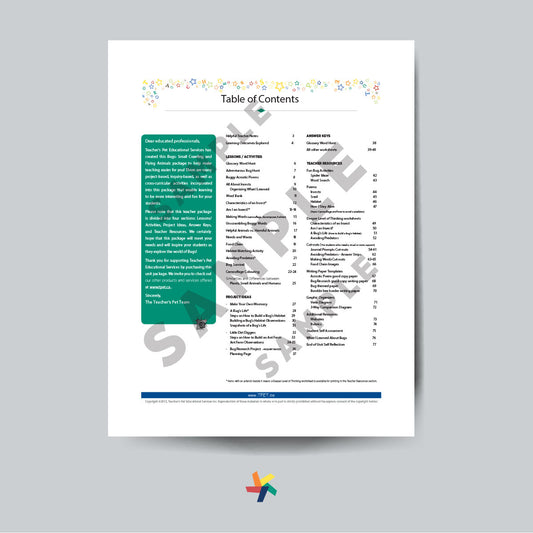 Bugs: Small Crawling & Flying Animals