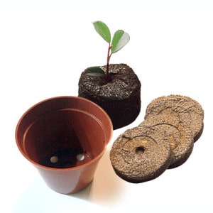 Plant Project Kit