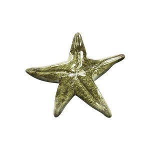 "Starfish" Soapstone Carving Kit